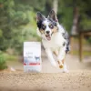 RAW PALEO Ultra Medium&Large Puppy Beef - sausas ėdalas šuniukams - 10 kg