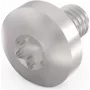 Schroff Torx varžtas M4X6 E/PRO (100 vnt. komplekte) (24560151)