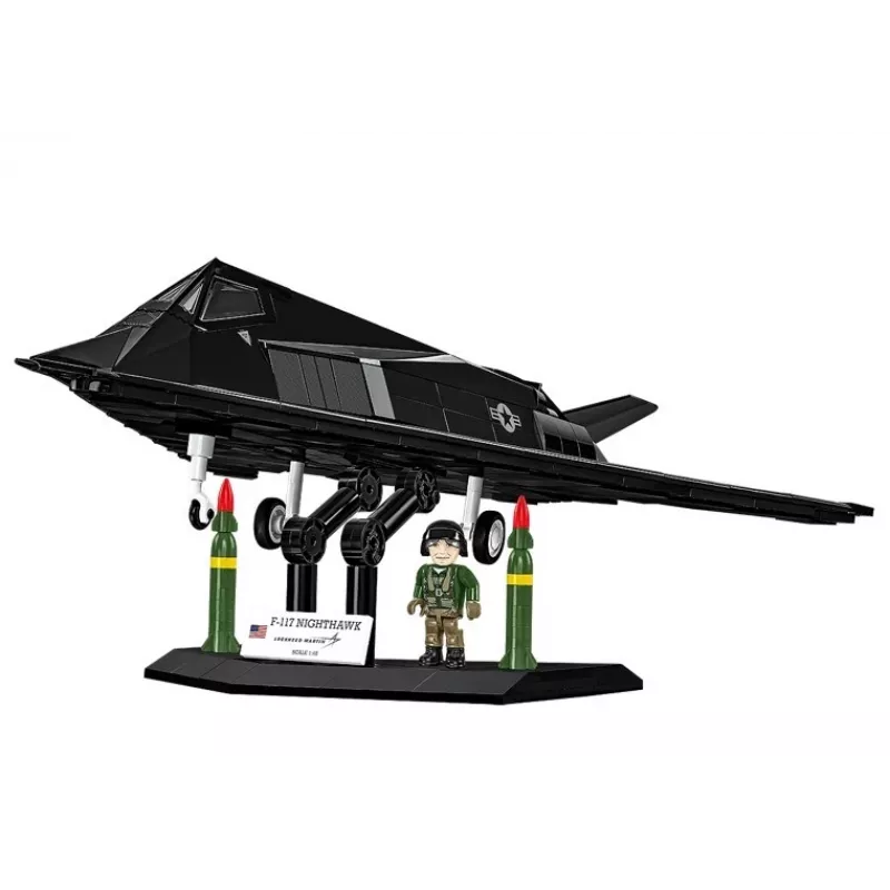Lockheed F-117 Nighthawk modelio rinkinys (1:48 mastelis)