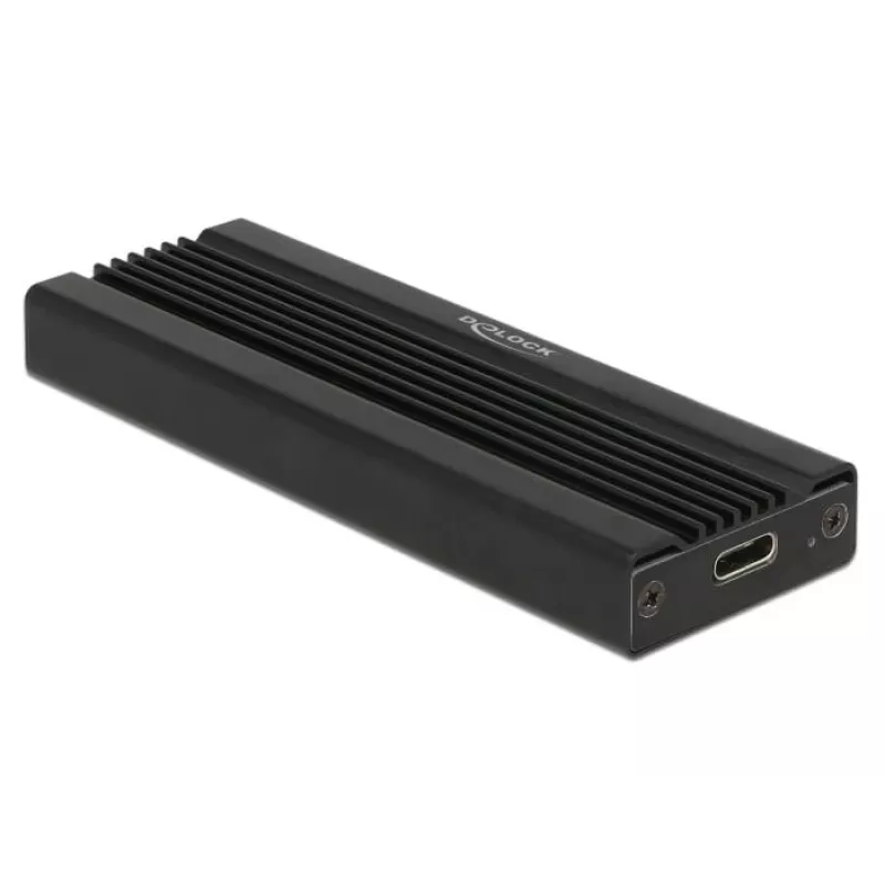 Išorinė dėžutė M.2 NVMe SSD Delock 42600 USB 3.2 Gen 1