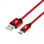 TB USB - USB C laidas 1,5 m Rubin (AKTBXKUCSBA150M)