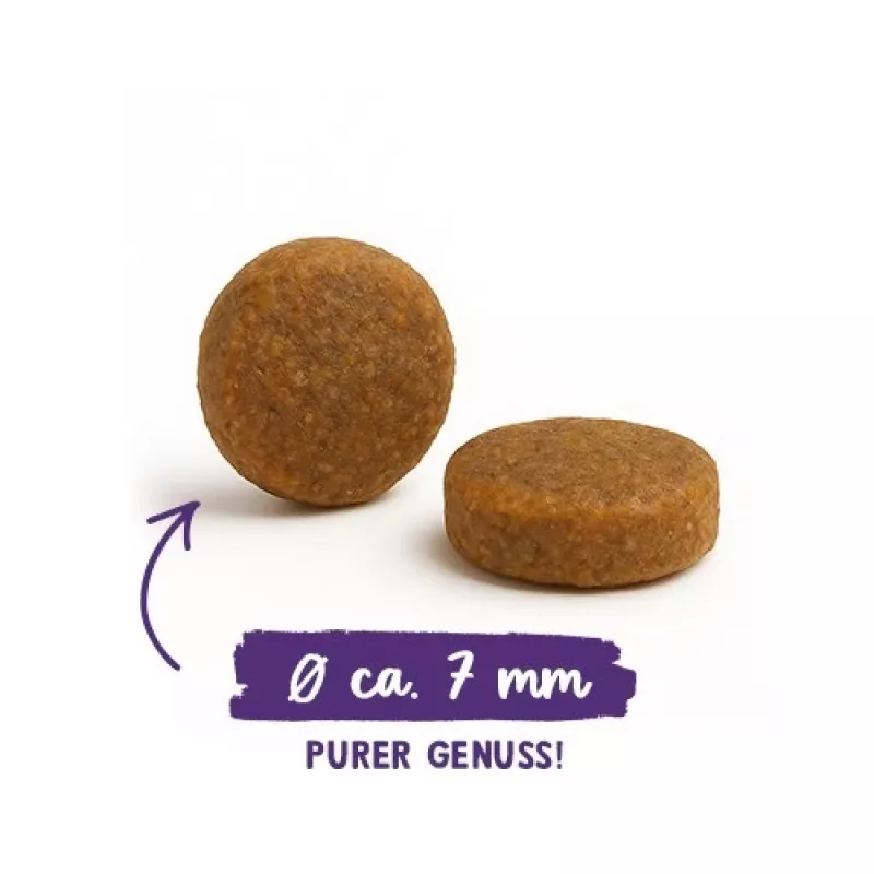 BOSCH Sanabelle Adult Ostrich & Blueberries - sausas kačių ėdalas - 2kg