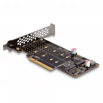 DeLOCK PCI Express x8 kortelė su 2 vidiniais NVMe M.2 Key M lizdais (bifurkacija, Low Profile)