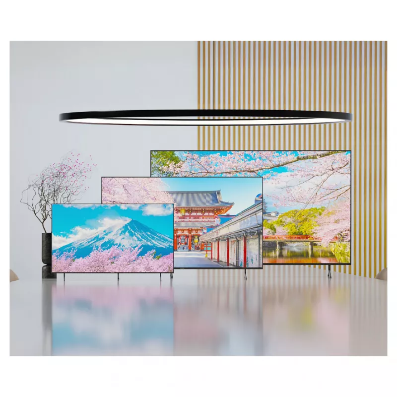 164,0 cm / 65 colių (3840x2160) JAPANNEXT JN-IPS650UHD60F 16:9 IPS 60Hz HDMI USB WLAN Garsiakalbiai Juoda