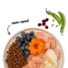 BOSCH Sanabelle Adult Trout & Blueberries – sausas maistas katėms – 2 kg