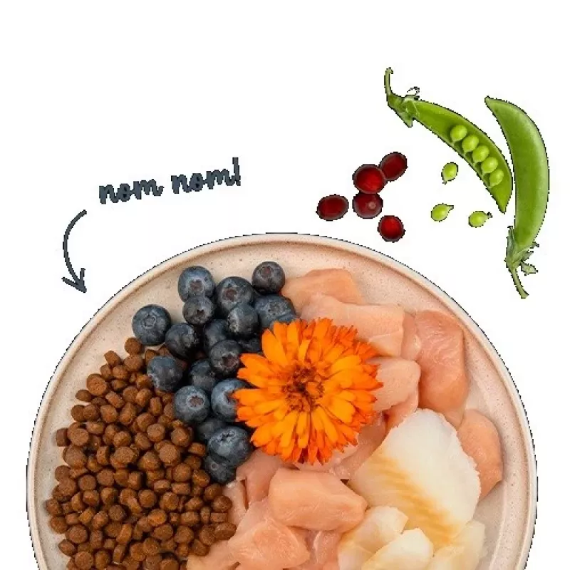 BOSCH Sanabelle Adult Trout & Blueberries – sausas maistas katėms – 2 kg