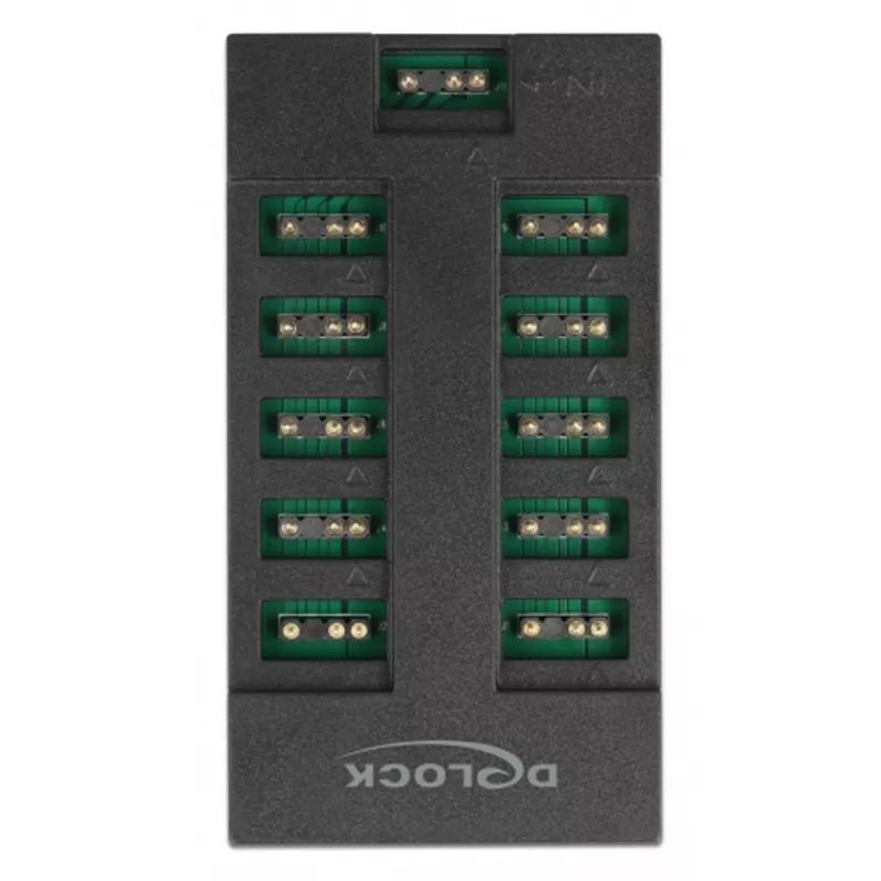 Delock RGB LED šviesų šakotuvas - 10 prievadų - Juodas (64128)