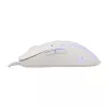 Pelė White Shark GM-9004 Tristan-2 White RGB USB