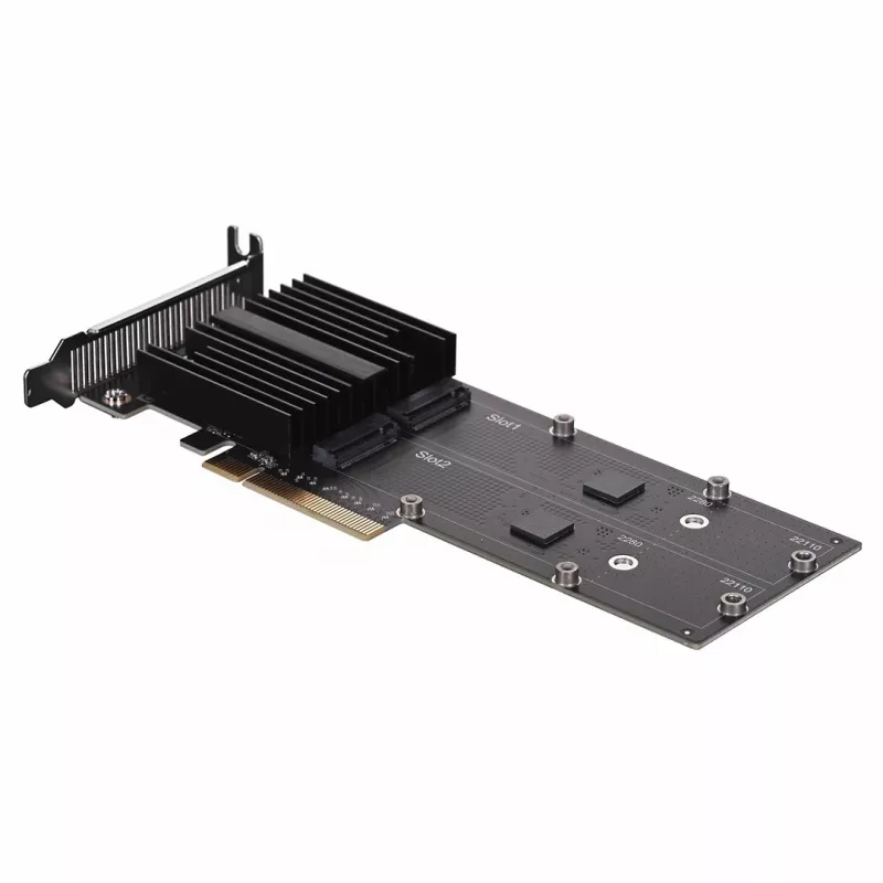 Synology M2D20 M.2 NVMe SSD adapterio kortelė PCIe