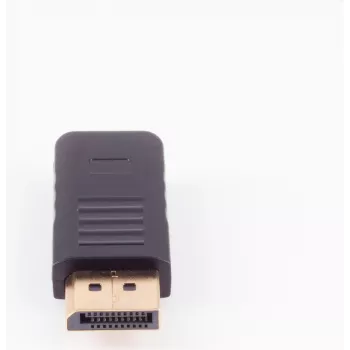 ShiverPeaks BS10-01030 Mini DisplayPort į DisplayPort adapteris 4K