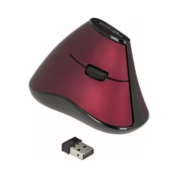 Pelė DeLOCK 12528 RF belaidė vertikali optinė 1000 DPI