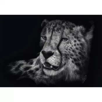 Ashley Rader: Speed - Gepard, In the Sign of Grace, Dėlionė 1000 dalių