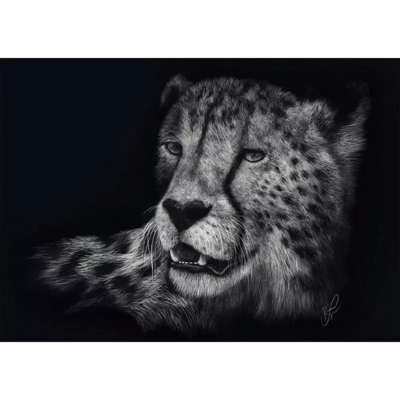 Ashley Rader: Speed - Gepard, In the Sign of Grace, Dėlionė 1000 dalių