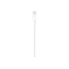 Apple Lightning į USB laidas 1m MUQW3ZM/A