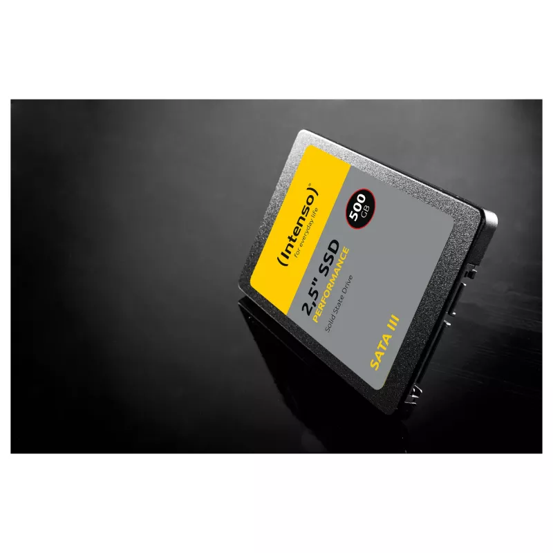 Intenso Performance SSD 1TB vidinis 2,5 colio SATA 6Gb/s (3814460)