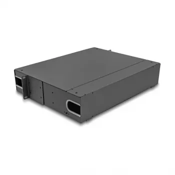 Patch panel DeLOCK 66752 19 colių 24 prievadai
