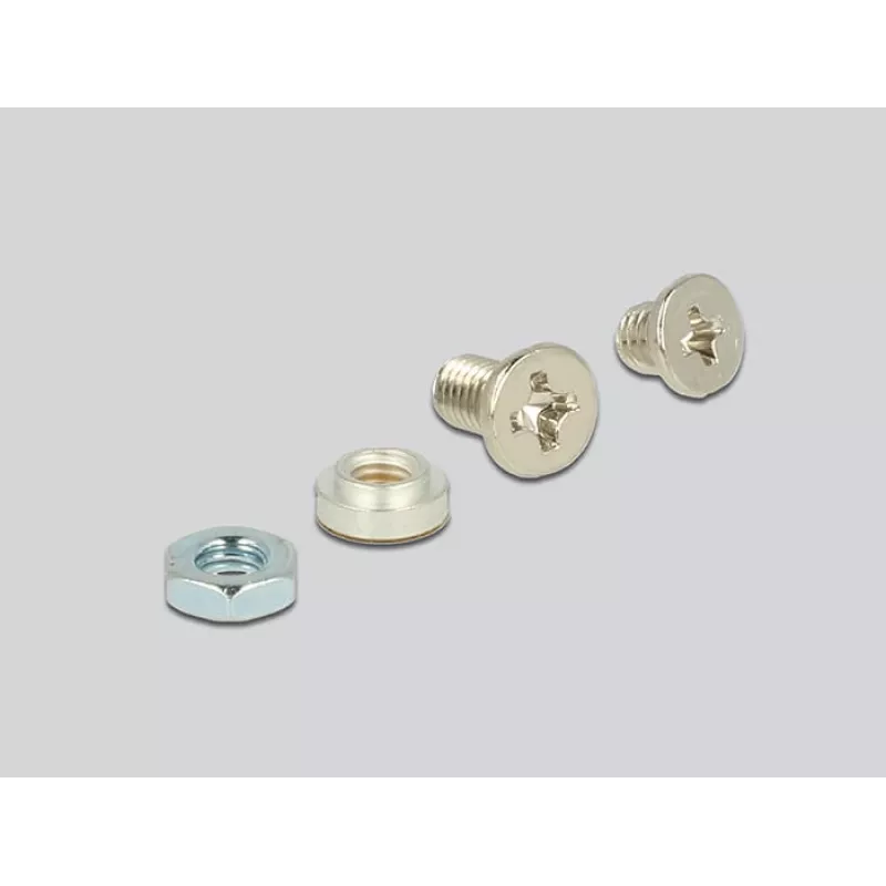 Vidinis M.2 adapteris DeLOCK 62865