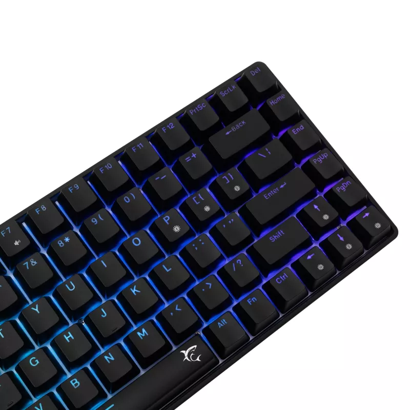 Mechaninė klaviatūra White Shark GK-005121 su RGB apšvietimu ir mėlynais jungikliais