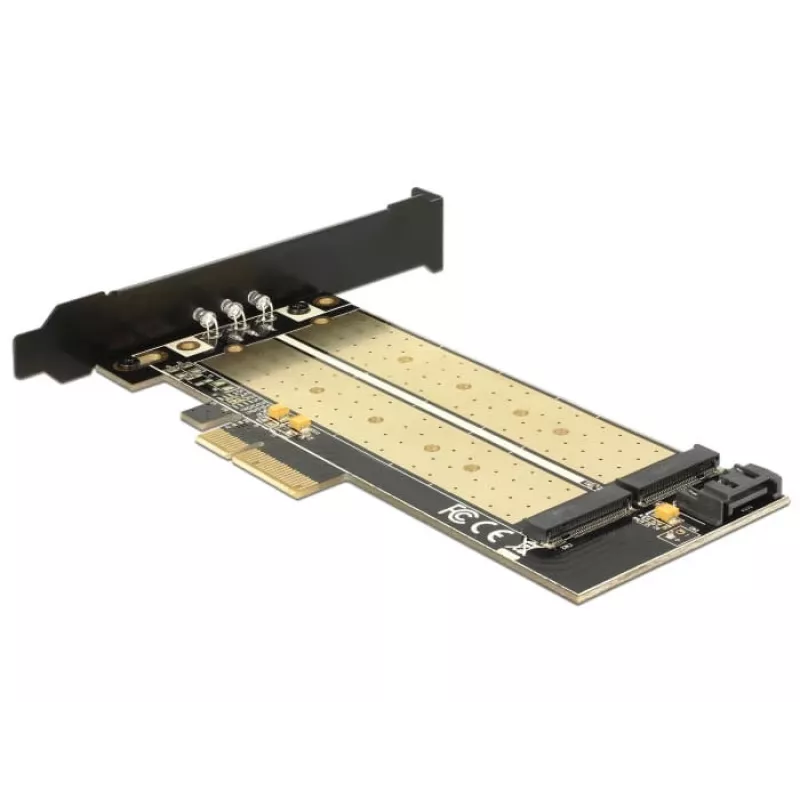 DeLOCK 89630 PCIe kortelė su dviem M.2 lizdais (SATA + PCIe)