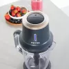 Belaidis stalinis blenderis Petra PT5393BGRYVDE, 1,5 l