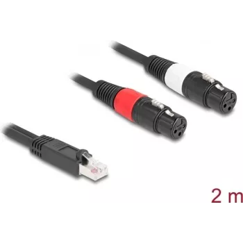 DeLOCK 88176 garso kabelis 2 m RJ-45 – 2 x XLR 3-pin juodas
