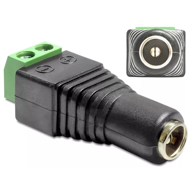 Adapteris jungties keitimui DeLOCK 65421
