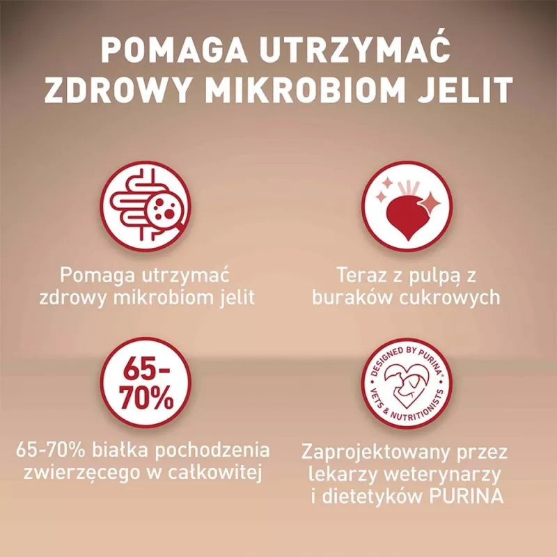 Sausas šunų ėdalas Purina Nestlé One Mini/Small Sensitive Salmon & Rice 800 g – mažiems šunims (5–10 kg), senjorams, 27% baltymų, 17% riebalų
