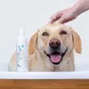 Hipoalerginis šampūnas VETEXPERT 250 ml šunims ir katėms – valantis, visų tipų kailiui, bet kokio amžiaus