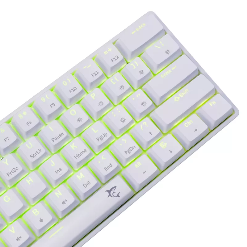 Laidinė mechaninė klaviatūra White Shark Shinobi-2 (GK-004221) – mėlyni jungikliai, balta, US išdėstymas