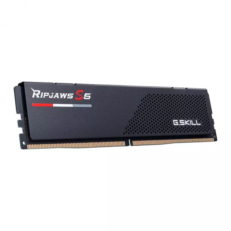 G.Skill Ripjaws S5 F5-5200J4040A24GX1-RS5K, 24 GB, 1 x 24 GB, DDR5, 288 kontaktų DIMM