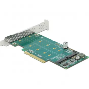 DeLOCK PCI Express x8 kortelė į 2 vidinius NVMe M.2 Key M lizdus su bifurkacija, žemo profilio formato
