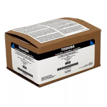 Dynabook T-305PC-R originalus kasetė 1 vnt. Ciano
