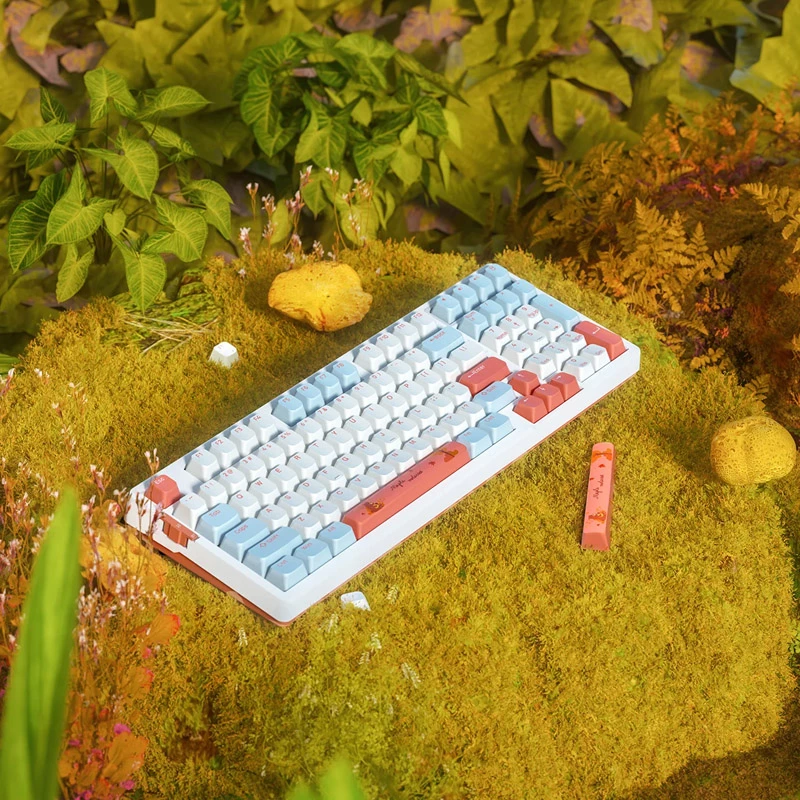 VGN V98 Pro žaidimų klaviatūra, Box Autumn - Maple Sugar riboto leidimo (US)