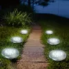Maclean MCE318 LED saulės energijos takų šviestuvas su smaigaliu, 12 LED SMD, neutrali balta 4000K, 0,7 W, IP44