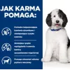 HILL'S PD Canine Urinary Care C/D - šlapias šunų ėdalas - 370g