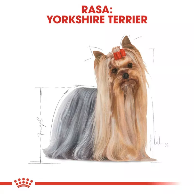 ROYAL CANIN BHN Yorkshire Terrier Adult - sausas šunų maistas - 3kg