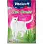 Vitakraft katžolės sėklos 50 g – valgomas augalų mišinys katėms, padedantis virškinimui ir plaukų kamuoliukų šalinimui