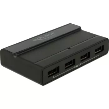 USB Hub Delock 4 prievadai 10 Gbps išorinis