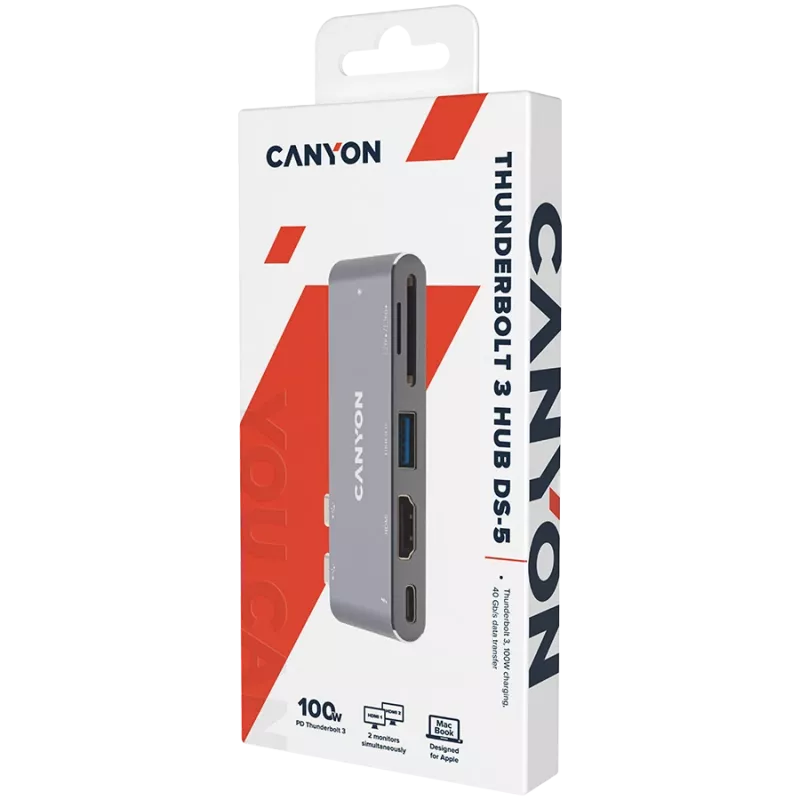 Canyon DS-5 USB 2.0 Type-C pilkos spalvos SD kortelių skaitytuvas 60 Hz