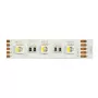 Synergy 21 LED juosta Flex Strip 5050 - 60 RGB DC24V + RGB-W vienas lustas nw IP20