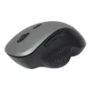 Gembird MUSW-6B-02-BG belaidė optinė pelė su USB imtuvu