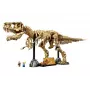 LEGO Dinozaurų Skeletai Tyrannosaurus 76968 konstravimo rinkinys – pastatomas T. rekso griaučių modelis