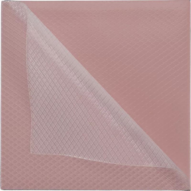 Thermal Grizzly Minus Pad 8 šiluminė tarpinė 100 x 100 x 0,5 mm, 2 vnt.