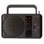 Eltra Tola 3 (9708blk) – nešiojamas radijo imtuvas FM ir LW juostoms