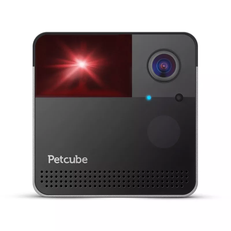 Petcube Play 2 – išmanus HD augintinio fotoaparatas su lazeriniu žaislu