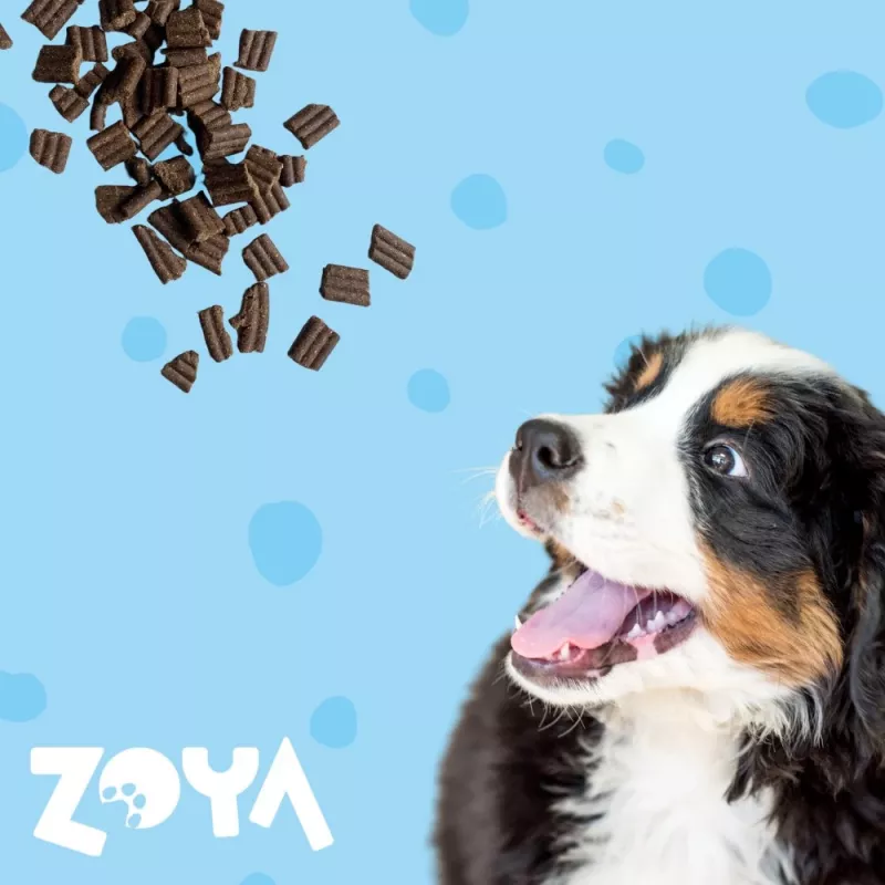 ZOYA ColdPRO Duck 9 kg – sausas šunų ėdalas su antiena, vieno baltymo, suaugusiems šunims