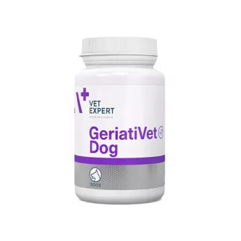 Maisto papildas šunims VETEXPERT GeriatiVet Dog 45 kapsulių – senjorams, be konservantų ir glitimo