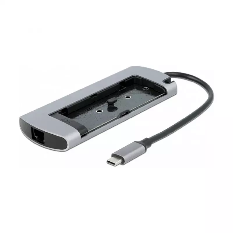 DeLOCK USB Type-C doko stotelė su M.2 lizdu