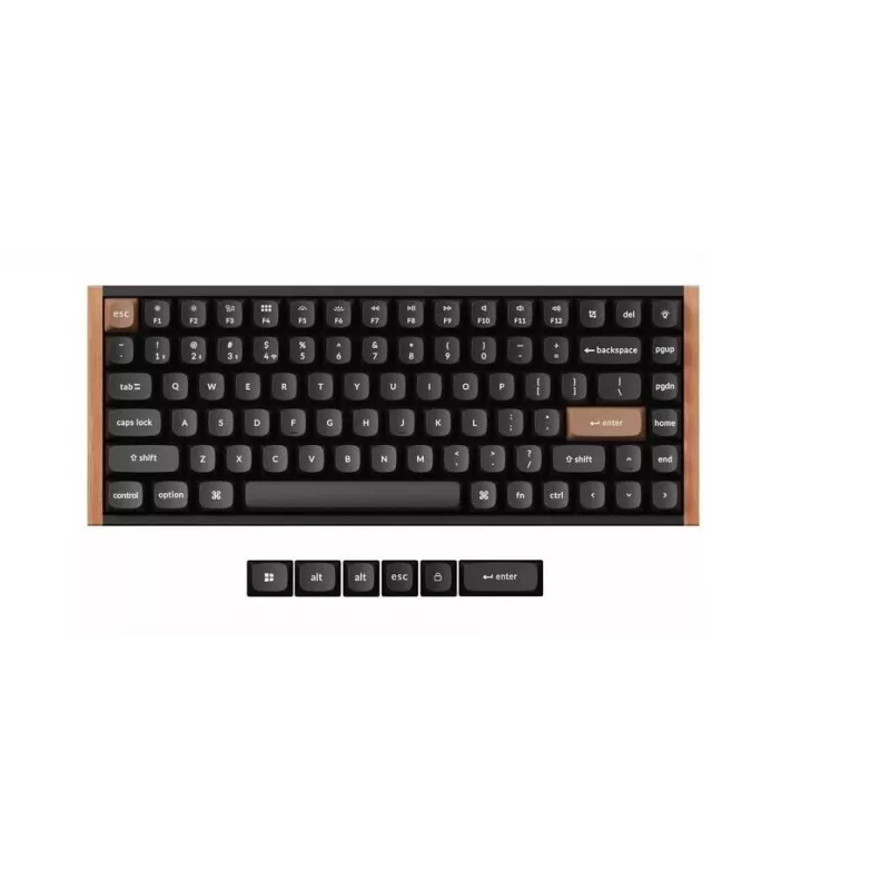 Belaidė mechaninė klaviatūra Keychron K2 Special Edition – kompaktiškas 75 % išdėstymas, RGB apšvietimas, juoda, modelis K2H-F1