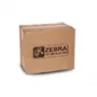 Zebros spausdinimo galvutės valymo rinkinys P1046696-099